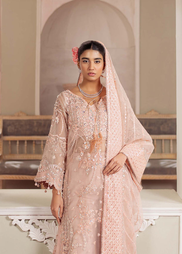 Elegant Peachy Pink Pakistani Party Dress for Any Occasion