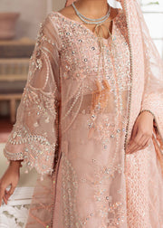 Elegant Peachy Pink Pakistani Party Dress for Any Occasion