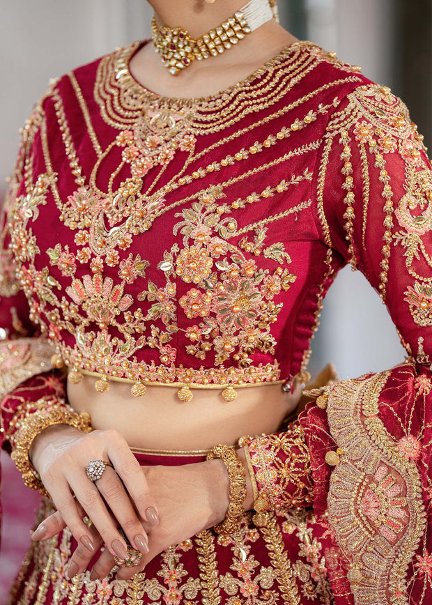 Elegant Mehroon Pakistani Bridal Dress for Festive Occasions