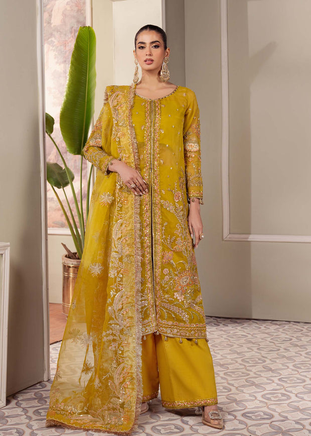 Enchanting Olive Pakistani Party Dress for Celebrations