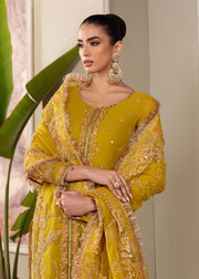 Enchanting Olive Pakistani Party Dress for Celebrations