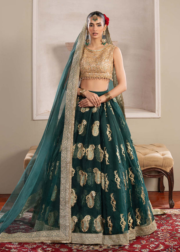 Stunning Bottle Green Pakistani Party Dress for Festivities