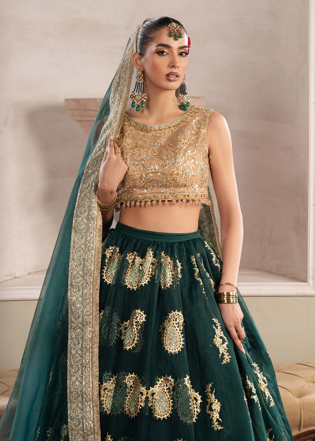 Stunning Bottle Green Pakistani Party Dress for Festivities