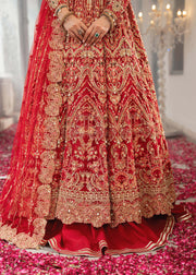 Elegant Red Pakistani Bridal Dress for Grand Celebrations