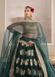 Stunning Bottle Green Pakistani Party Dress for Festivities
