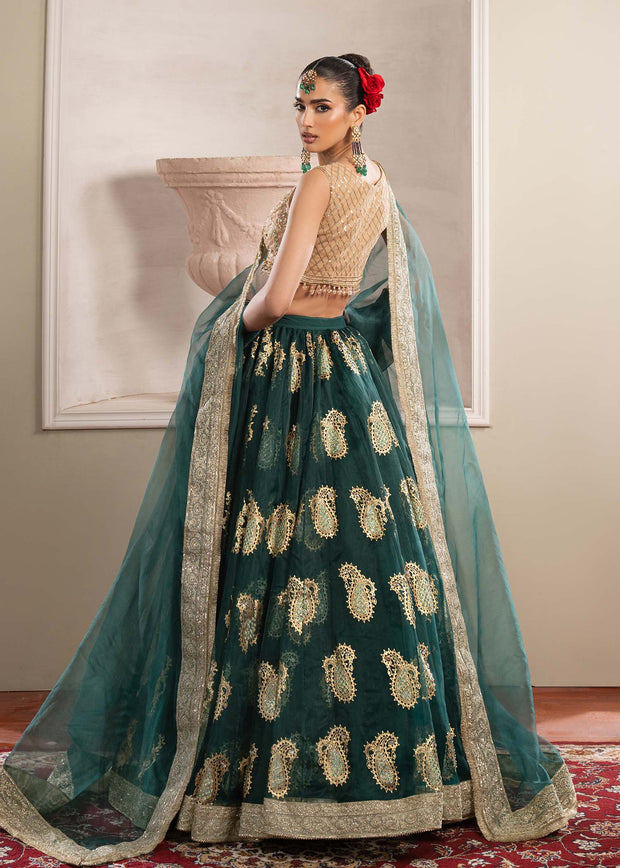 Stunning Bottle Green Pakistani Party Dress for Festivities