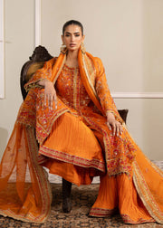 Elegant Orange Pakistani Party Dress for Festive Occasions