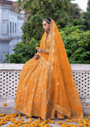 Stunning Tangerine Pakistani Bridal Dress for Mehndi