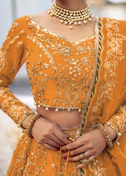 Stunning Tangerine Pakistani Bridal Dress for Mehndi