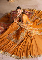 Elegant Pakistani Wedding Dress with Floral Embroidery and Net Du