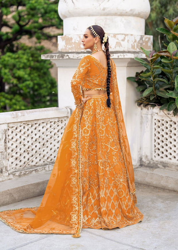 Stunning Tangerine Pakistani Bridal Dress for Mehndi