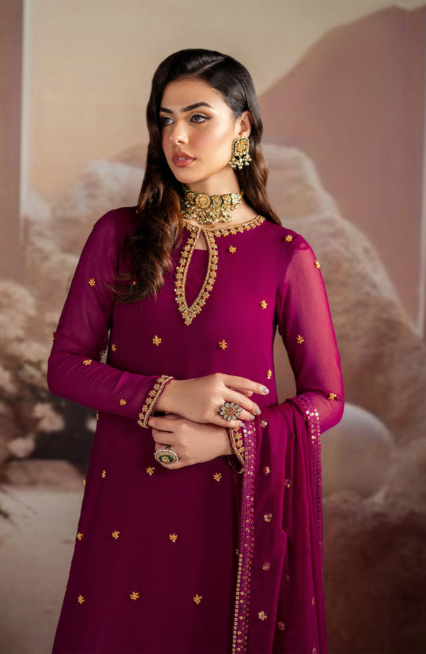 Elegant Embroidered Chiffon Suit with Raw Silk Trouser