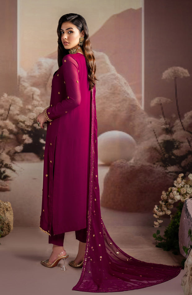 Elegant Embroidered Chiffon Suit with Raw Silk Trouser