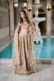 Golden Net Pakistani Bridal Dress with Exquisite Embroidery