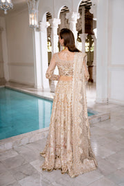 Golden Net Pakistani Bridal Dress with Exquisite Embroidery