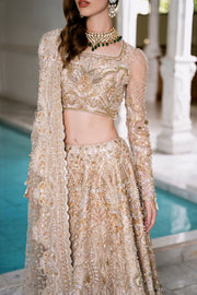 Golden Net Pakistani Bridal Dress with Exquisite Embroidery