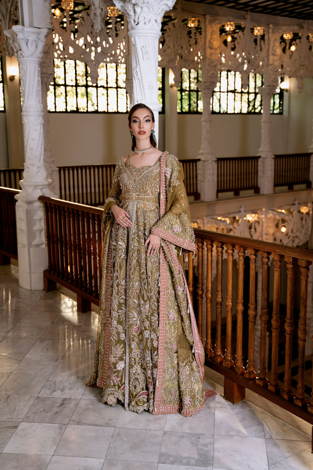 Hazelnut Net Pakistani Bridal Dress with Exquisite Embroidery