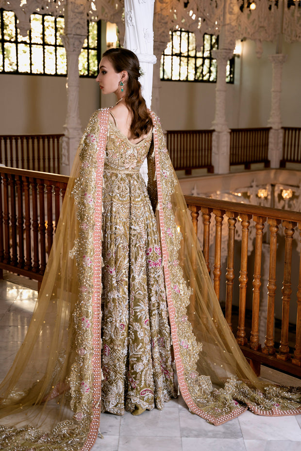 Hazelnut Net Pakistani Bridal Dress with Exquisite Embroidery