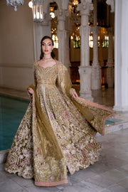 Hazelnut Net Pakistani Bridal Dress with Exquisite Embroidery