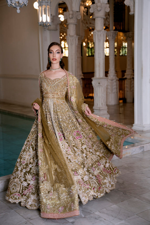 Hazelnut Net Pakistani Bridal Dress with Exquisite Embroidery