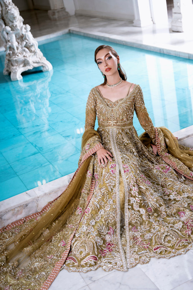 Hazelnut Net Pakistani Bridal Dress with Exquisite Embroidery