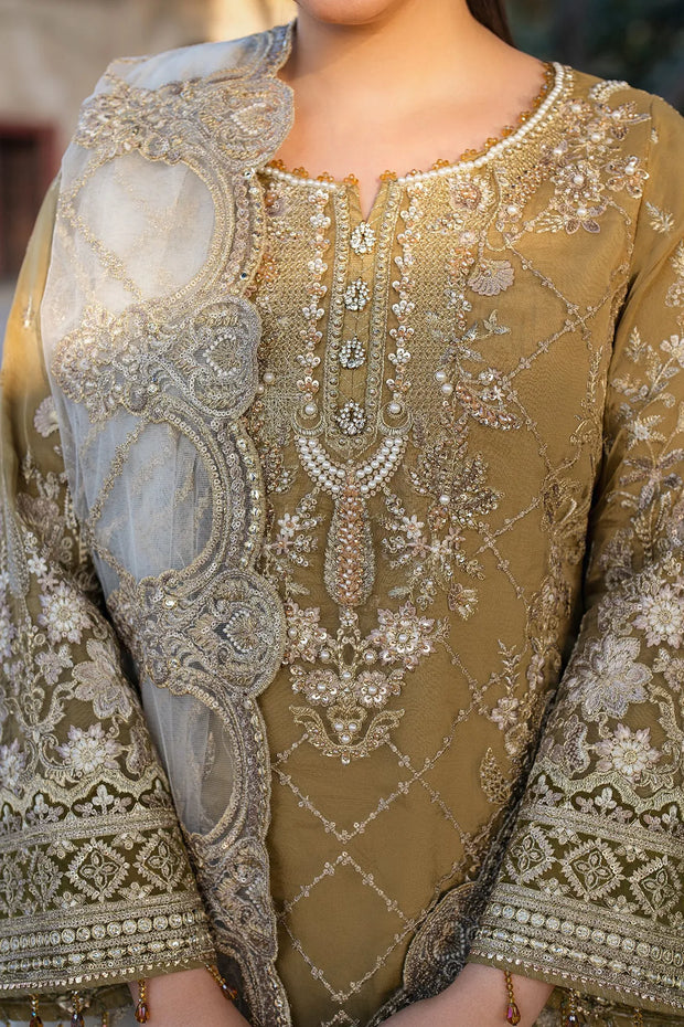 Eid Embroidered Organza Dress Set