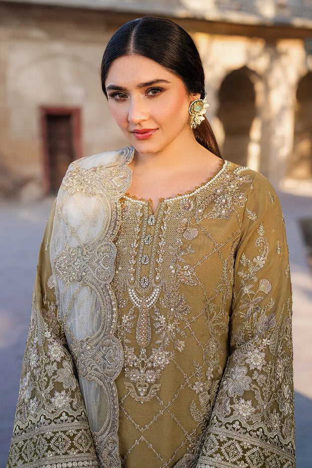 Eid Embroidered Organza Dress Set