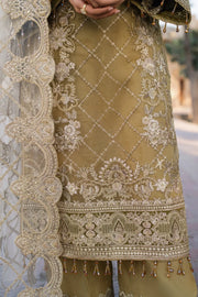 Eid Embroidered Organza Dress Set