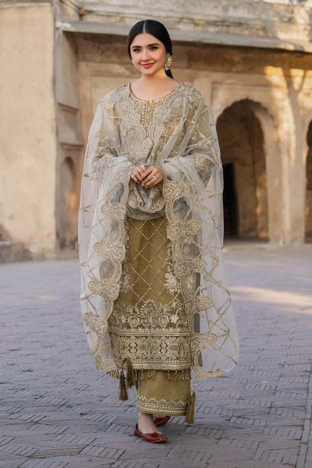 Eid Embroidered Organza Dress Set