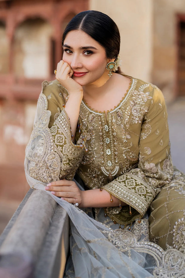 Eid Embroidered Organza Dress Set