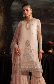 Elegant Tea Pink Sequins Chiffon Pakistani Party Dress