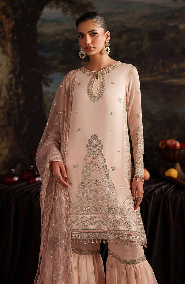 Elegant Tea Pink Sequins Chiffon Pakistani Party Dress