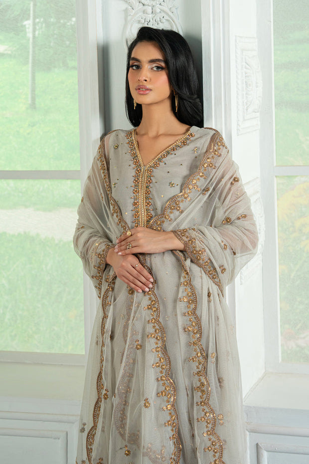 Embroidered Hand Embellished Net Dress with Raw Silk Trouser