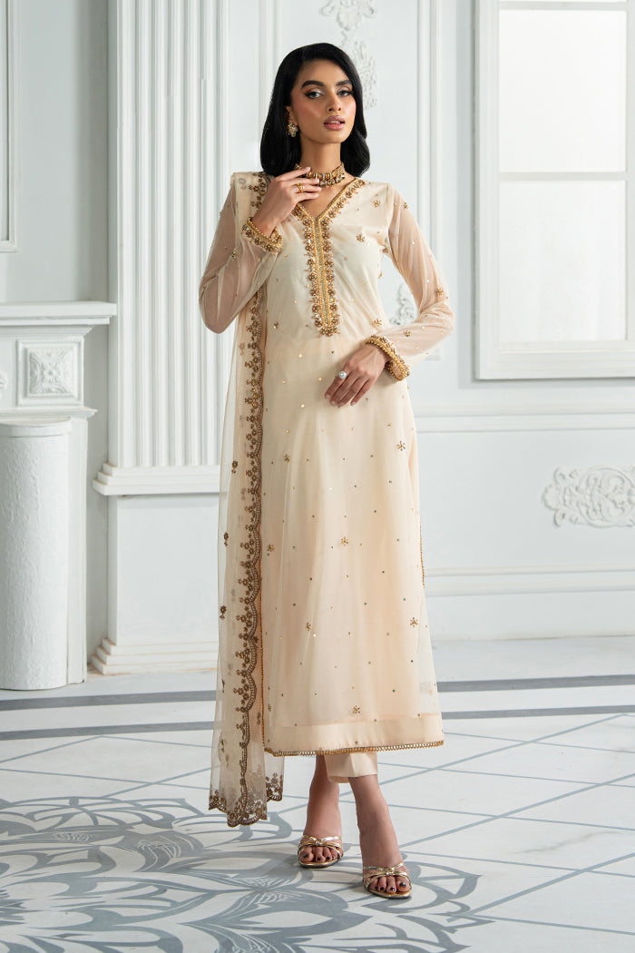 Elegant Embroidered Net Dress with Raw Silk Trouser