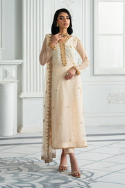 Elegant Embroidered Net Dress with Raw Silk Trouser