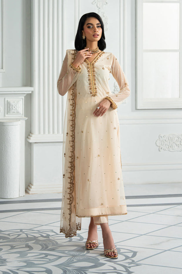 Elegant Embroidered Net Dress with Raw Silk Trouser