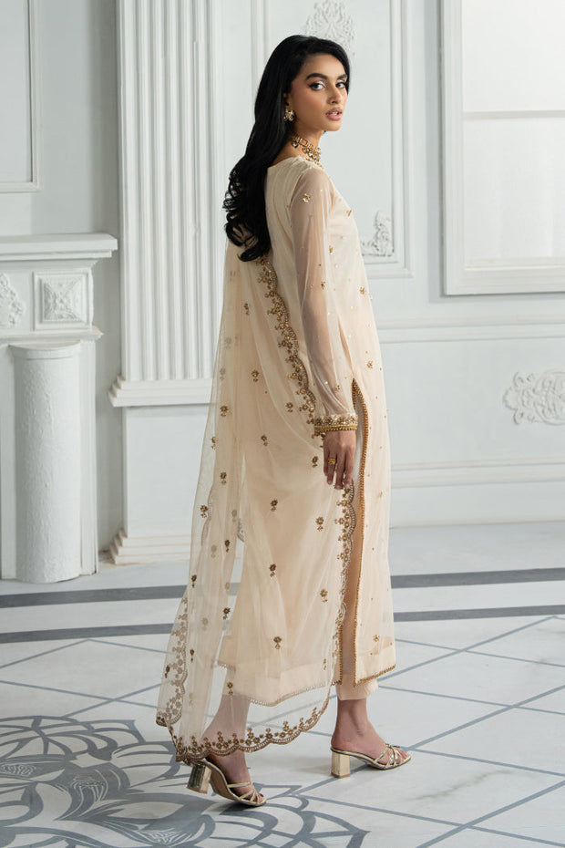 Elegant Embroidered Net Dress with Raw Silk Trouser