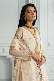 Elegant Embroidered Net Dress with Raw Silk Trouser