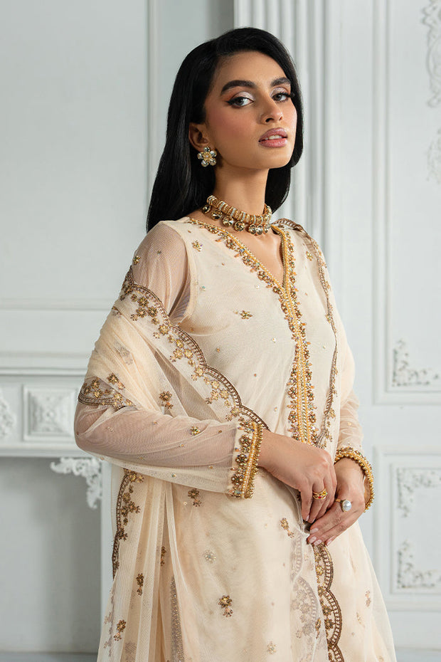 Elegant Embroidered Net Dress with Raw Silk Trouser