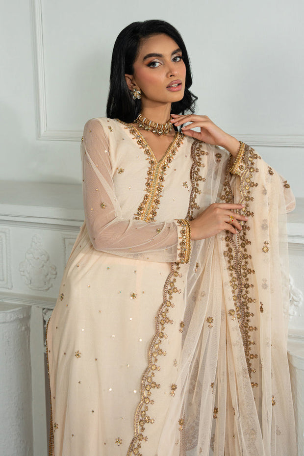 Elegant Embroidered Net Dress with Raw Silk Trouser