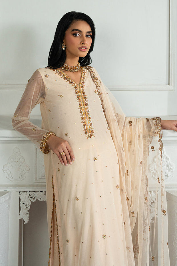 Elegant Embroidered Net Dress with Raw Silk Trouser