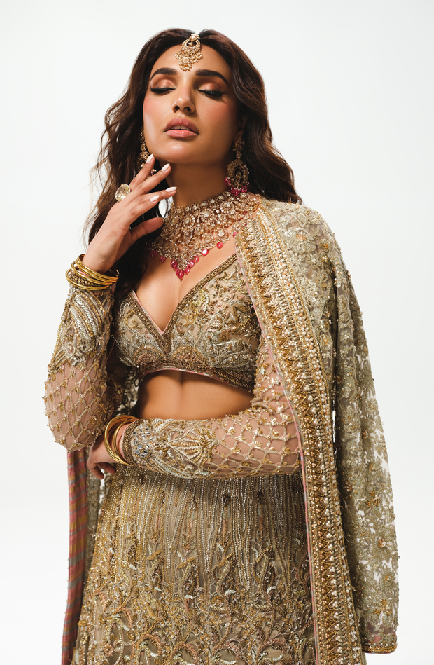 Elegant Silver Grey Pakistani Bridal Lehenga Ensemble