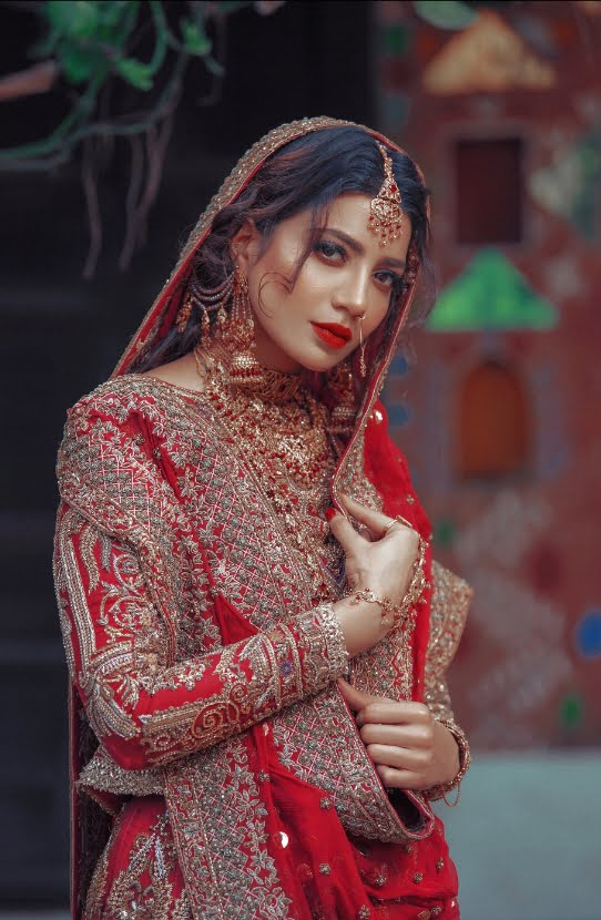Traditional Pakistani Bridal Lehenga with Gold Embroidery