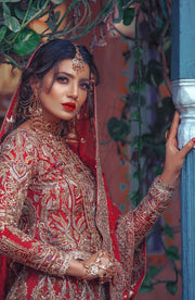 Traditional Pakistani Bridal Lehenga with Gold Embroidery