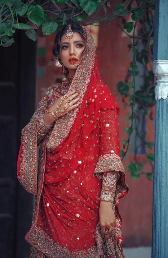 Traditional Pakistani Bridal Lehenga with Gold Embroidery