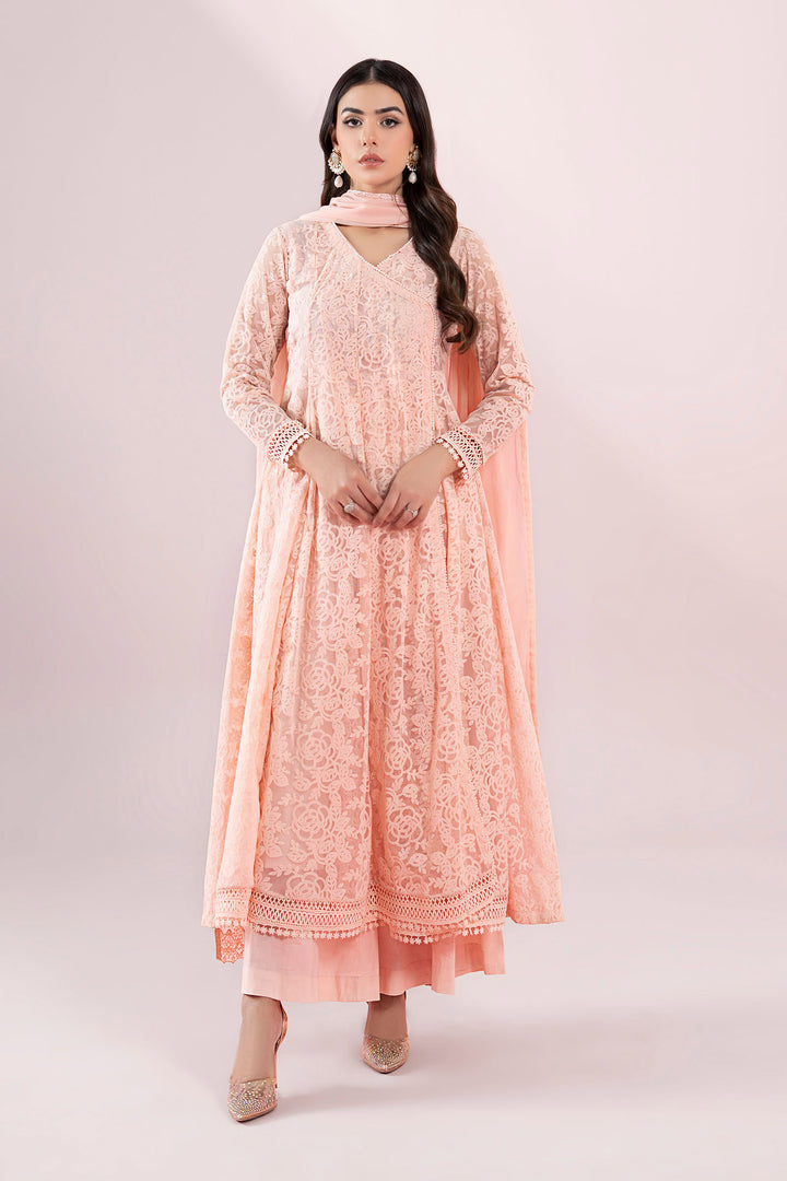 3 Piece Embroidered Polyester Net Suit Pakistani Party Dress