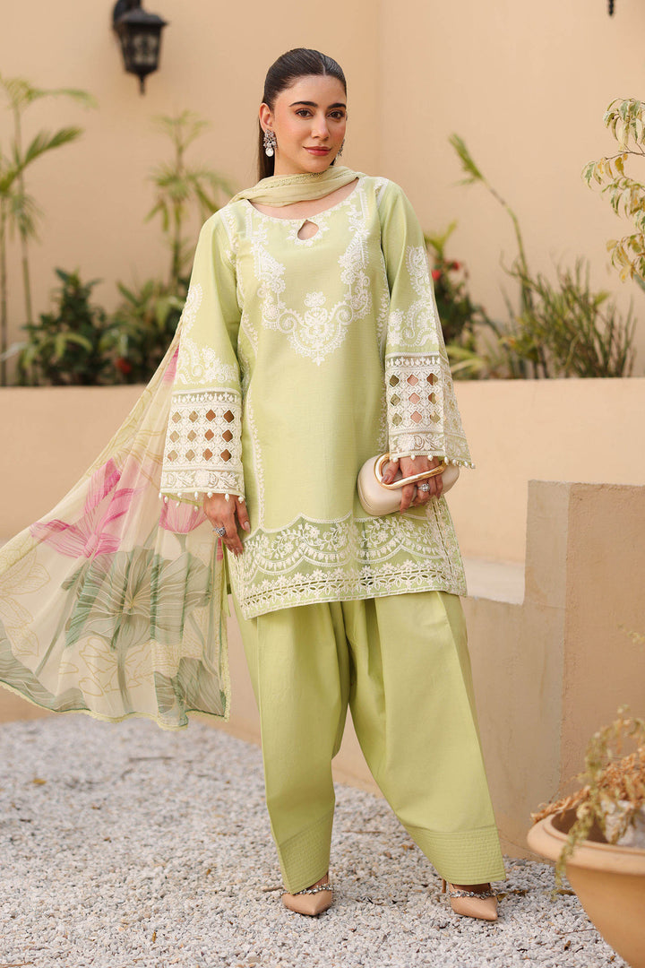 3 Piece Embroidered Dobby Suit Pakistani Party Dress