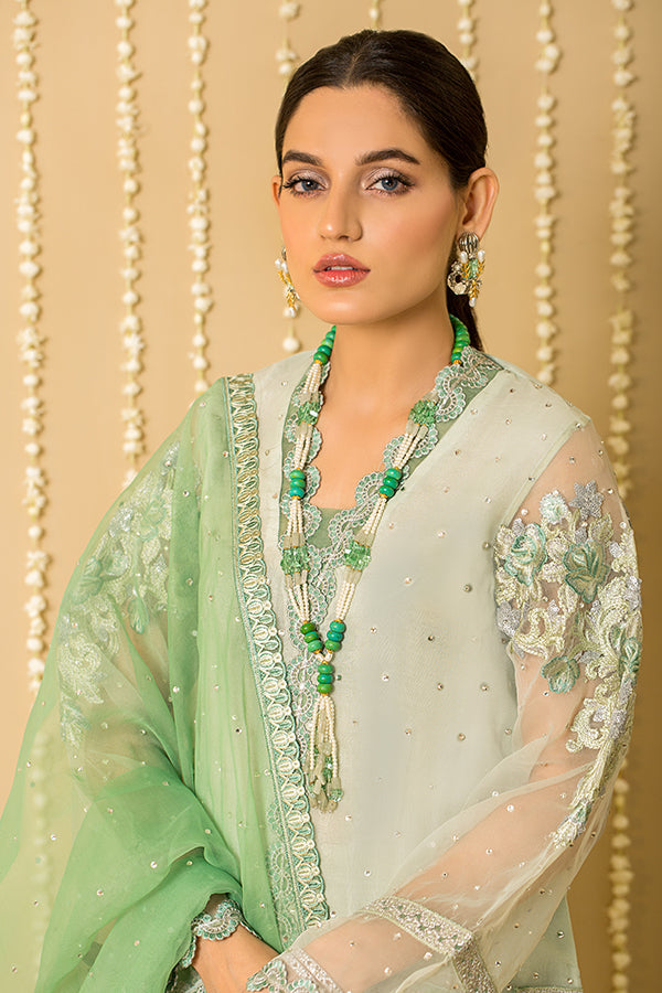 Elegant Embroidered Organza Pakistani Salwar Kameez and Dupatta