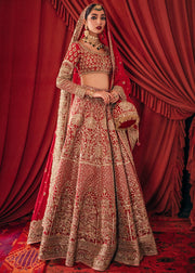 Elegant Heavily Embellished Red lehenga Choli Pakistani Wedding Dress