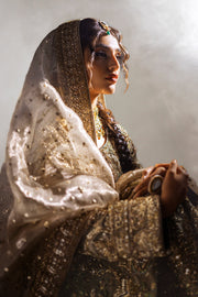 Elegant Kameez Trouser Dupatta Royal Pakistani Wedding Dress